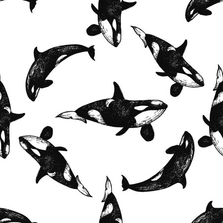 Seamless pattern of hand drawn sketch style killer whales isolated on white background. Vector illustration.のイラスト素材