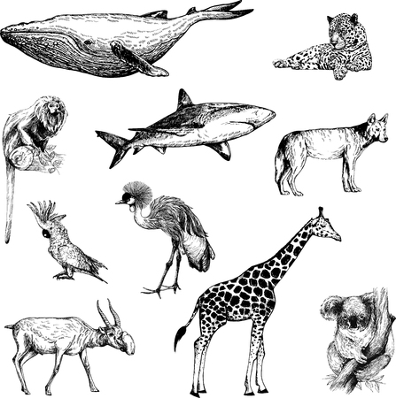 Big set of hand drawn sketch style animals isolated on white background. Vector illustration.のイラスト素材