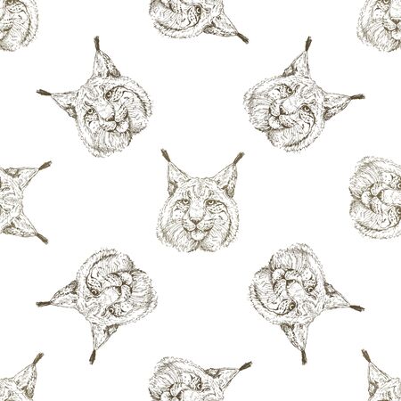 Seamless pattern of hand drawn sketch style portraits of lynx isolated on white background. Vector illustration.のイラスト素材