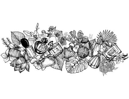 Poster / card / composition of hand drawn sketch style bottles of perfume and plants isolated on white background. Vector illustration.のイラスト素材