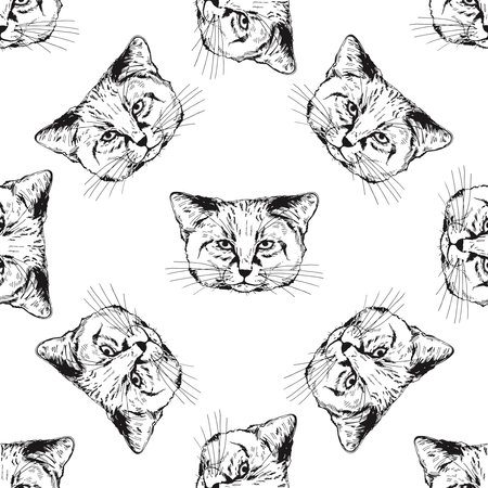 Seamless pattern of hand drawn sketch style sand cats isolated on white background. Vector illustration.のイラスト素材
