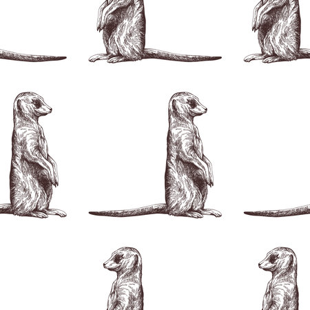 Seamless pattern of hand drawn sketch style Meerkats isolated on white background. Vector illustration.のイラスト素材