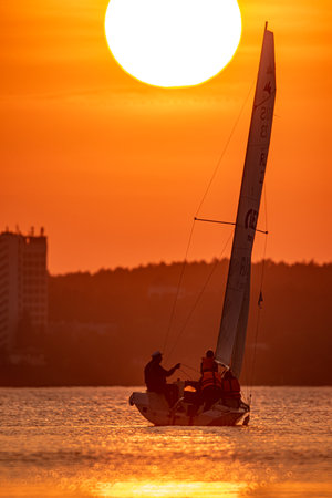 Sailing regatta at sunset.