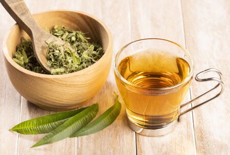 Tea with lemon verbena - Aloysia citrodoraの写真素材