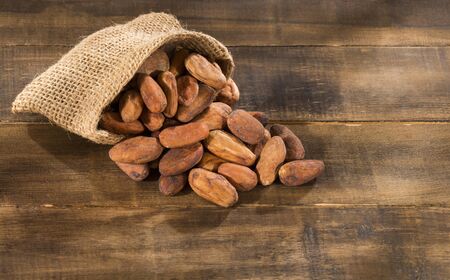 Organic cocoa beans - Theobroma cacao