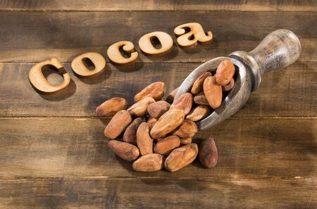 Theobroma cacao - Organic cocoa beansの写真素材