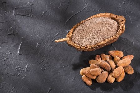 Organic cocoa beans and powder - Theobroma cacaoの写真素材