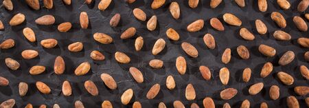 Aromatic cocoa beans - Chocolateの写真素材