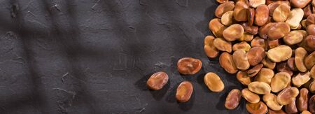 Fava brown dried beans - Vicia faba L.の写真素材