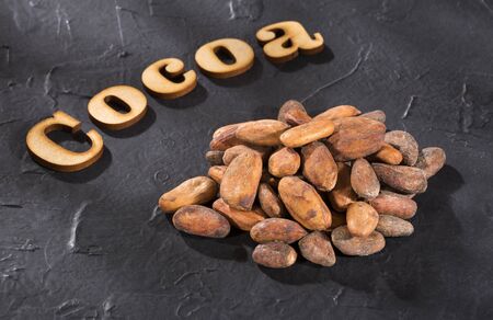 Organic cocoa beans - Theobroma cacaoの写真素材