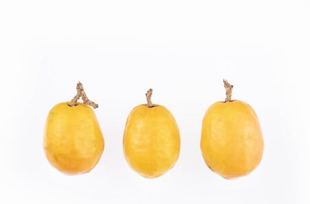 Spondias purpurea - plum, jobo, xocote, plum of huesito, jocote, cocotaの写真素材