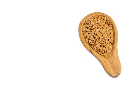 Organic fenugreek Seeds - Methi Danaの写真素材