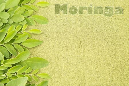 Leaves and moringa powder - Moringa oleiferaの写真素材