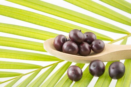 Fresh acai berries - Euterpe oleraceaの写真素材