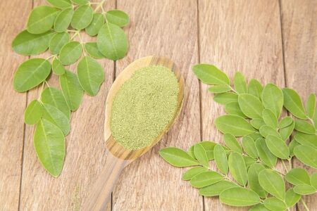 Moringa nutritional plant - Moringa oleiferaの写真素材