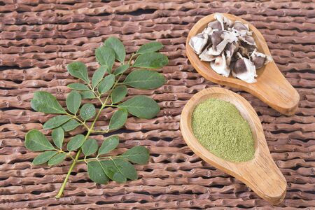 Seeds, leaves and seeds of moringa - Moringa oleiferaの写真素材
