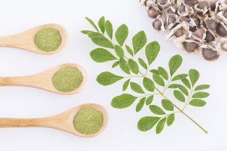 Seeds, leaves and seeds of moringa - Moringa oleifera. White backgroundの写真素材