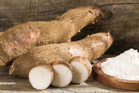 Cassava raw tuber - Manihot esculentaの写真素材