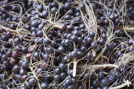 Fresh acai berries - Euterpe oleracea
