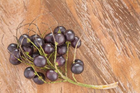 Fresh acai berries - Euterpe oleraceaの写真素材