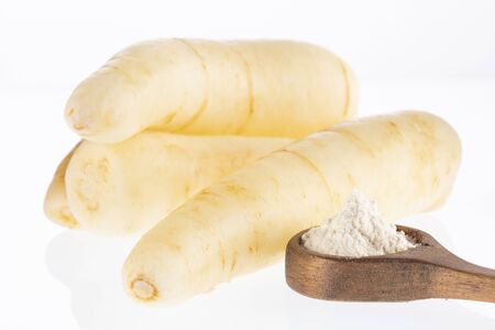 Arracacha - Arracacia xanthorrhiza - arracache, celery criollo, racacha, virraca, white carrotの写真素材