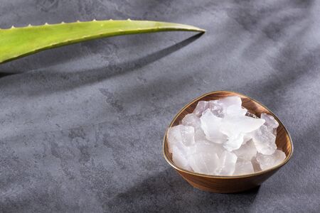aloe vera leaf - Text spaceの写真素材