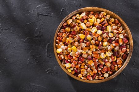 Zea mays - Variety of Creole maize from the Colombian Caribbean region