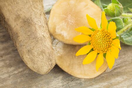 Fresh Yacon roots - Smallanthus sonchifolius
