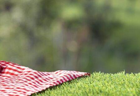 Red checkered napkin on the green grass. Background for design