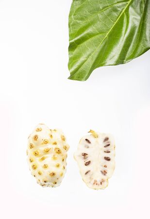 Fruit of Great morinda (Noni) or Morinda citrifoliaの写真素材