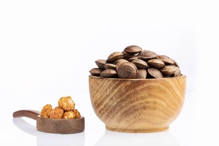 Dried seeds of sacha fruit - Inchi peanuts - Plukenetia volubilisの写真素材