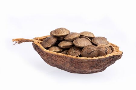 Dried seeds of sacha fruit - Inchi peanuts - Plukenetia volubilis