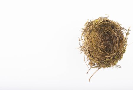 Top view of empty bird nest isolated on whiteの写真素材
