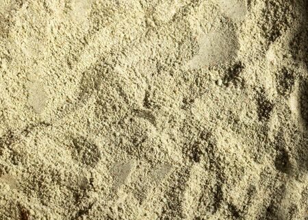 Organic ground Laurel - Laurus nobilis