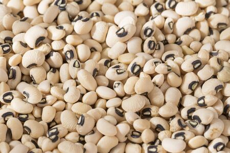 Black eye bean - Vigna unguiculata