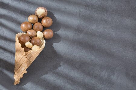 Macadamia nuts - Macadamia integrifoliaの写真素材