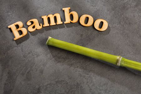 Bambusoideae - Bamboo phrase in wooden lettersの写真素材