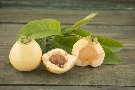 rose apple - Syzygium Jambos