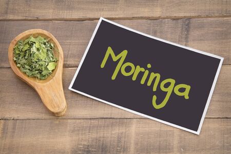 Moringa nutritional plant - Moringa oleiferaの写真素材