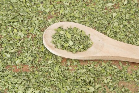 Moringa nutritional plant - Moringa oleiferaの写真素材