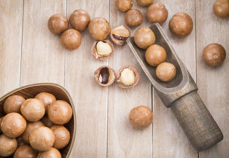 Macadamia nuts - Macadamia integrifoliaの写真素材