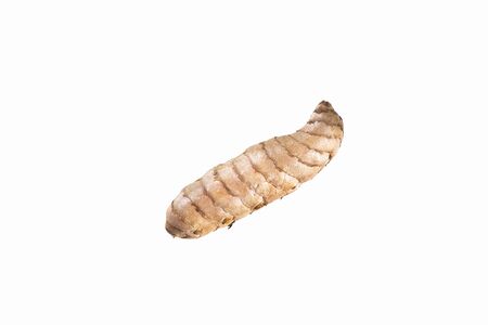 Curcuma longa - Organic turmeric roots. Text space