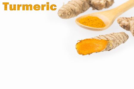 Fresh organic root and turmeric powder - Curcuma longaの写真素材