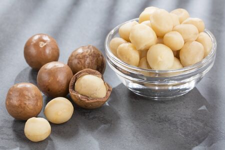 Macadamia nuts - Macadamia integrifoliaの写真素材