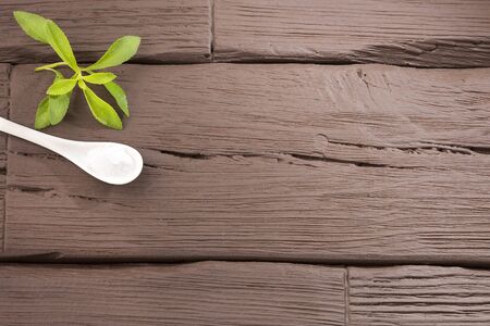 Natural sweetener in powder from stevia plant - Stevia rebaudiana