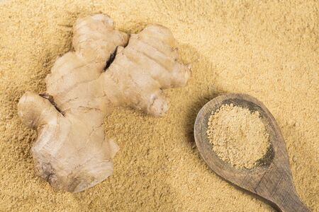 Ginger root and ginger powder - Zingiber officinaleの写真素材