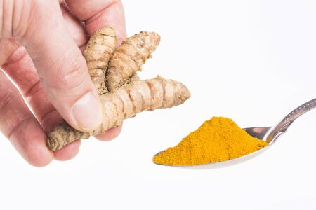 Turmeric powder in the spoon - Curcuma longa