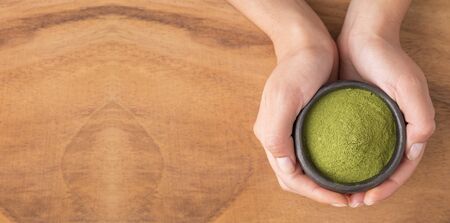 Moringa nutritional plant - Moringa oleifera. Text spaceの写真素材