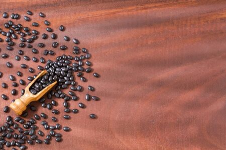 Raw black beans - Phaseolus vulgaris' Black turtleの写真素材