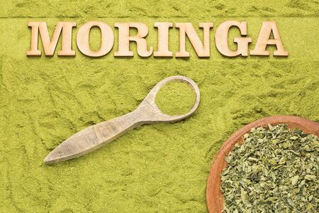Dry leaves and moringa powder - Moringa oleifera.の写真素材